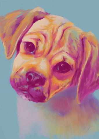 Cute in Pastel