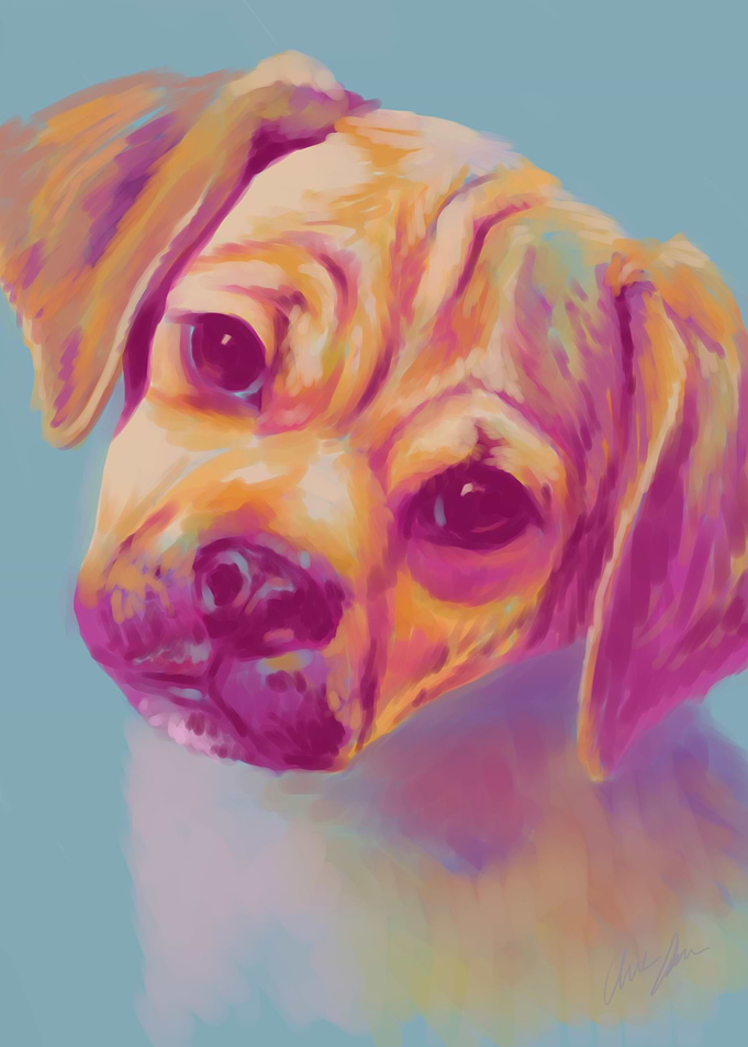 Cute in Pastel