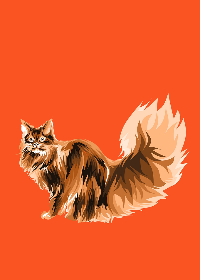 Cute cats