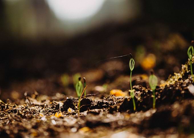 A new beginning