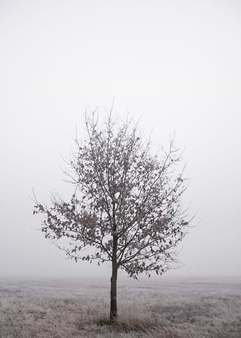 Loneliness