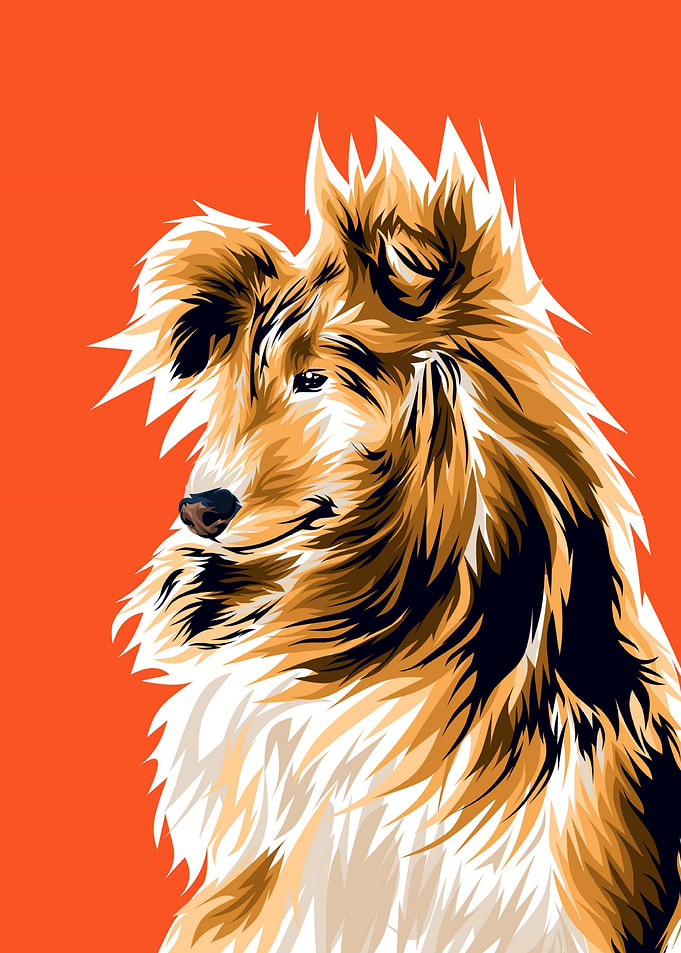 Cute dog
