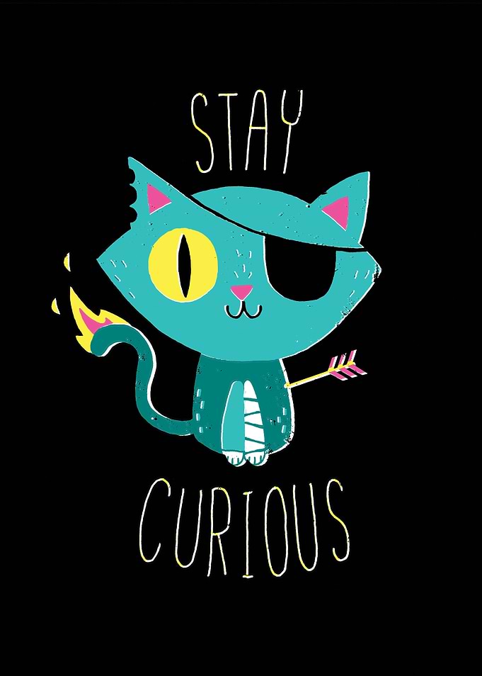 Stay Curious