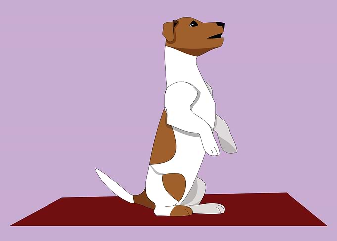 Good Dog Pose