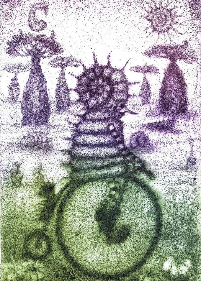 Violet Seashell Traveler