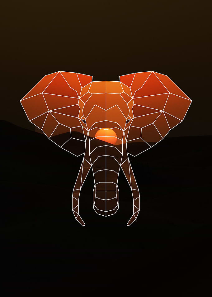 Geometric Elephant