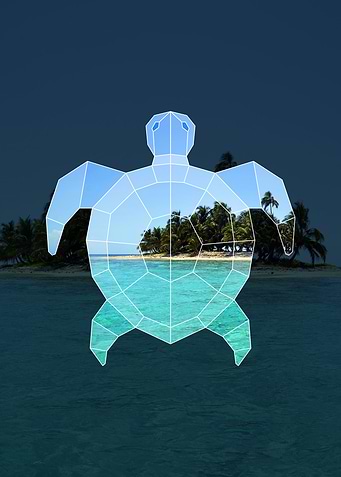 Geometric Sea Turtle
