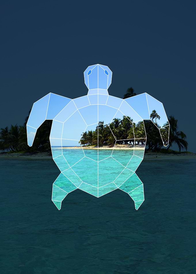 Geometric Sea Turtle