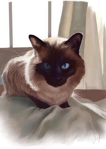 Hikari