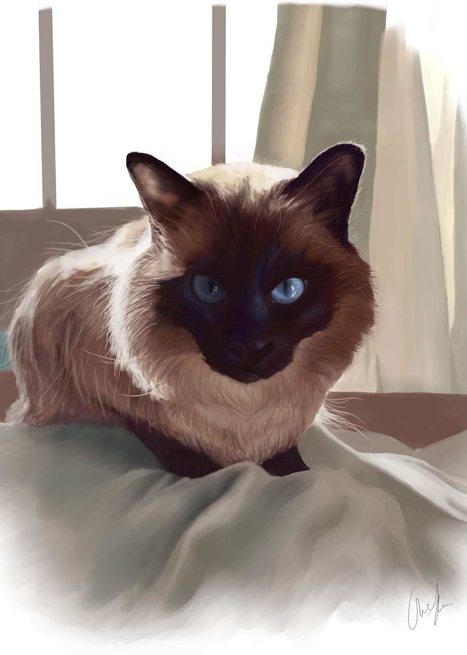 Hikari