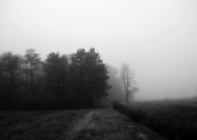 Misty Mind
