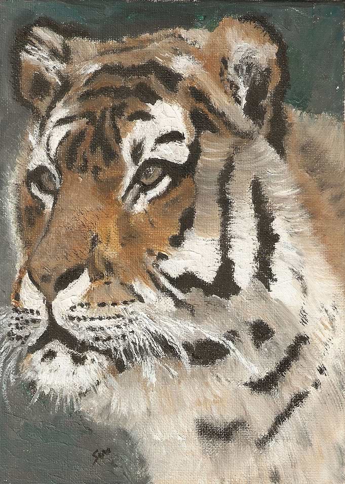 Tiger 3