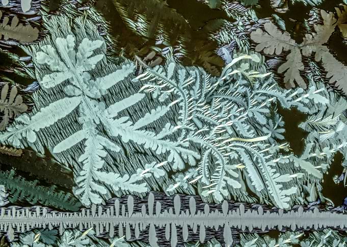 Alien Fossil