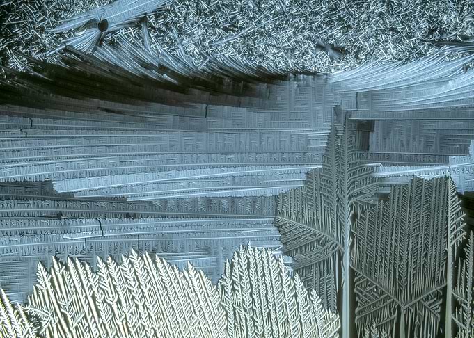 Alien Carbon Forest II