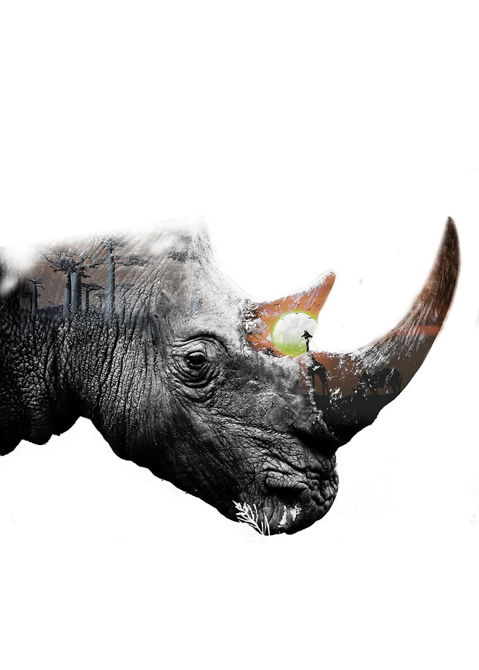 The Rhino