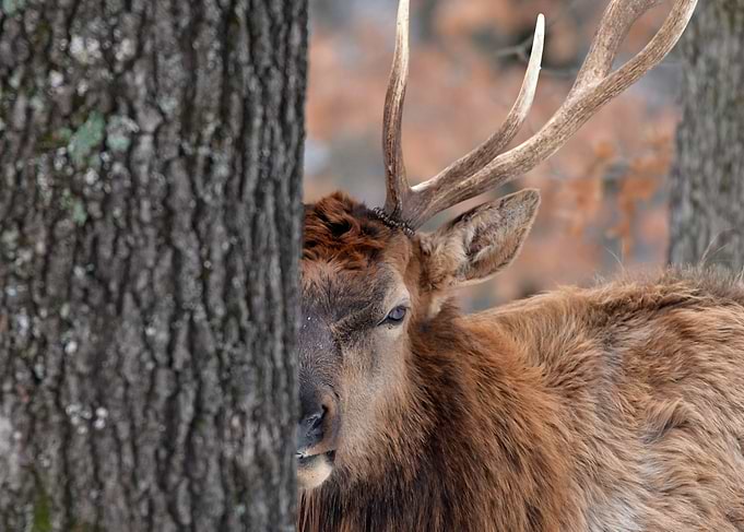 I see you