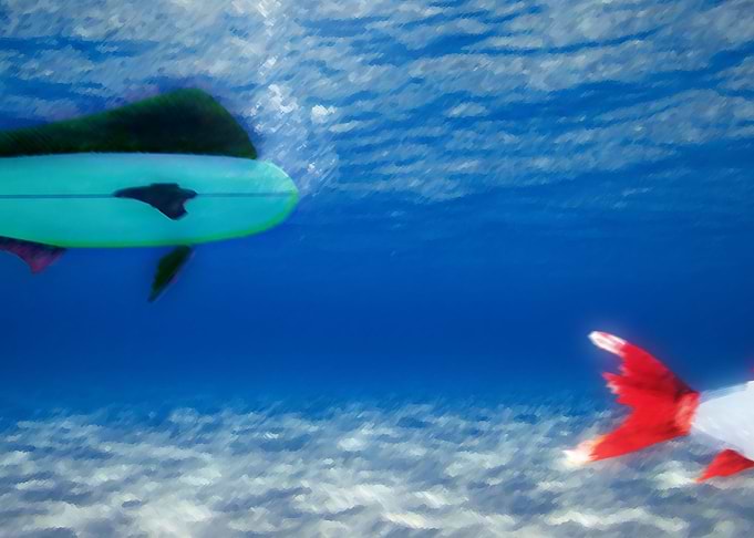 Surboard Fish 2