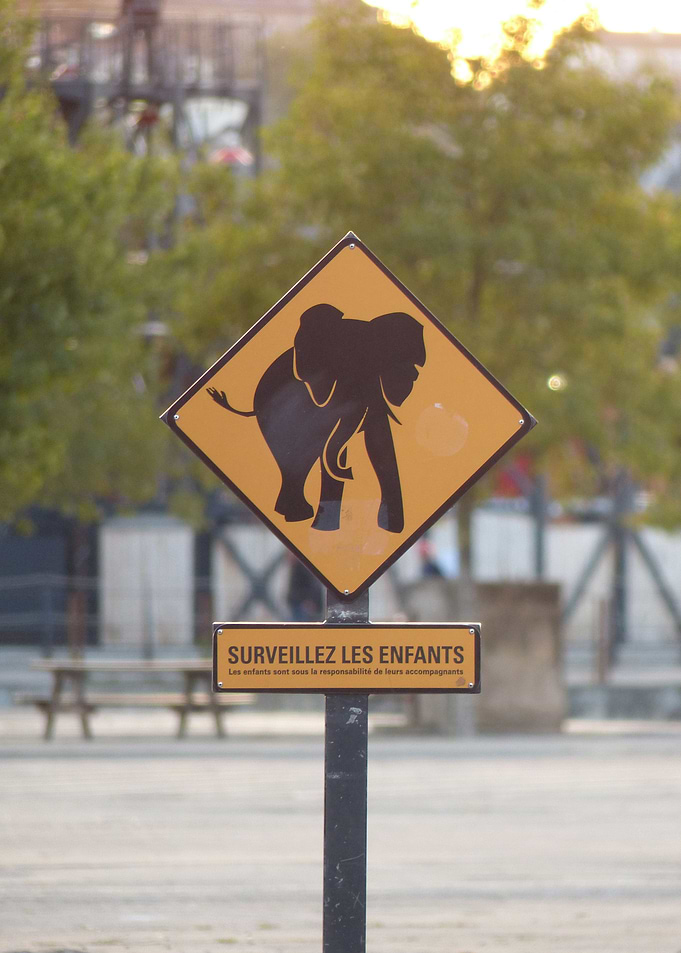 Elephant
