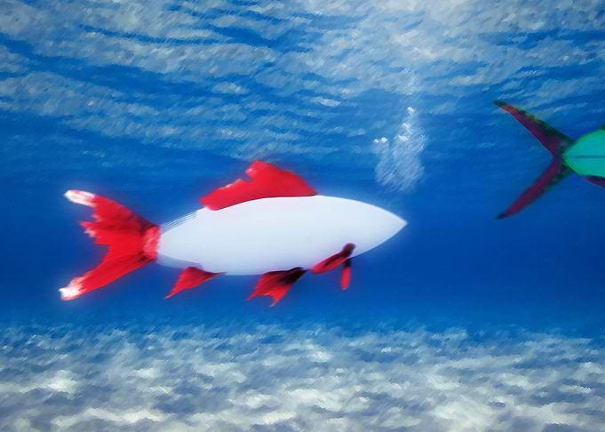 Surfboard Fish 1