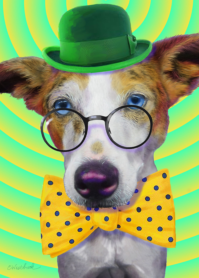 Dog with a Hat and Bowtie