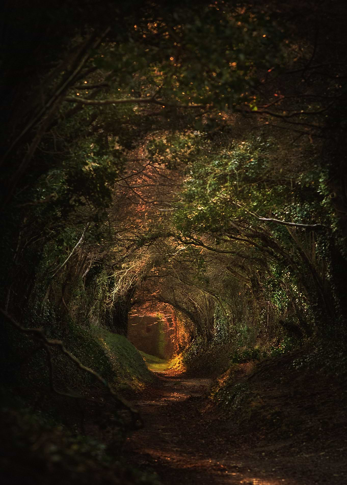 Mystical Path