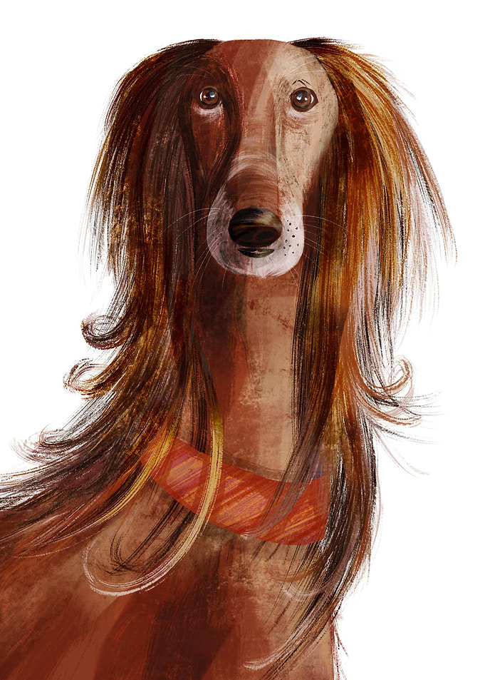 A long haired beauty