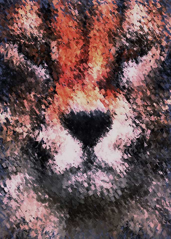 cheeta