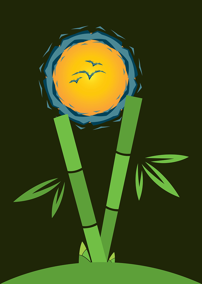 BAMBOO