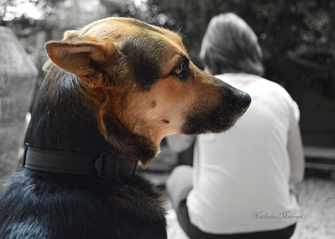 I have your back