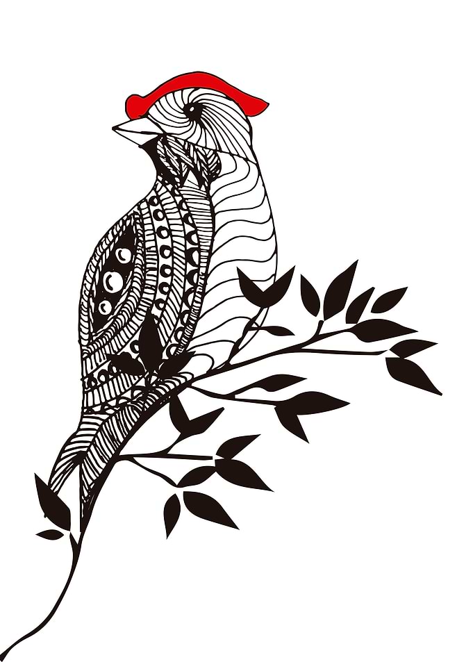bird doodle art