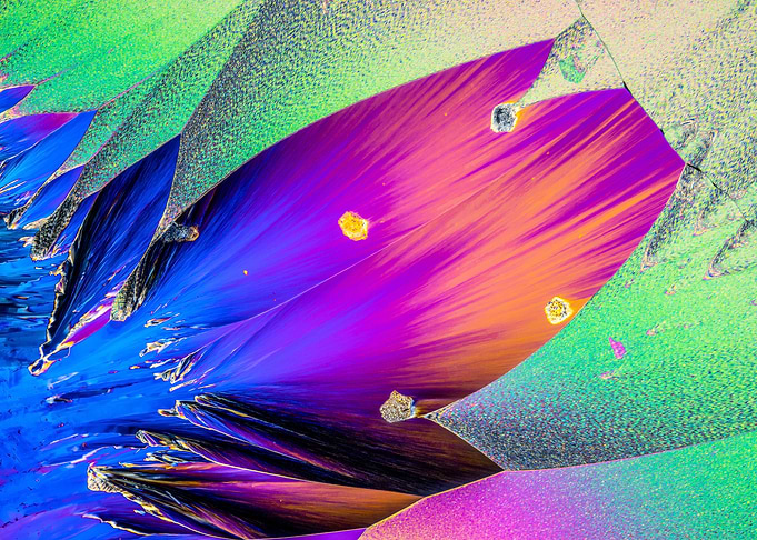Flower Fire