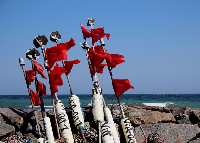 Bouys