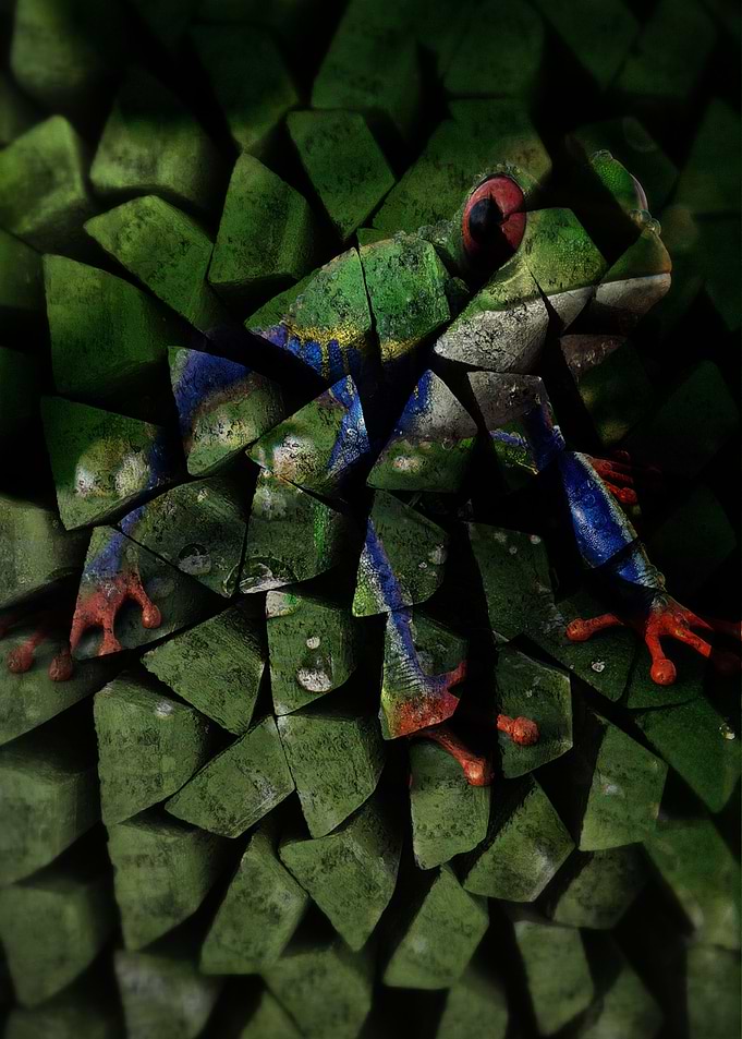 The Frog Of Frogs