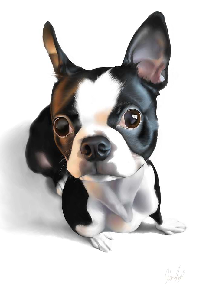 Toy