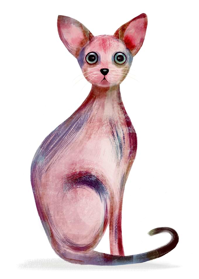 A Red Cat
