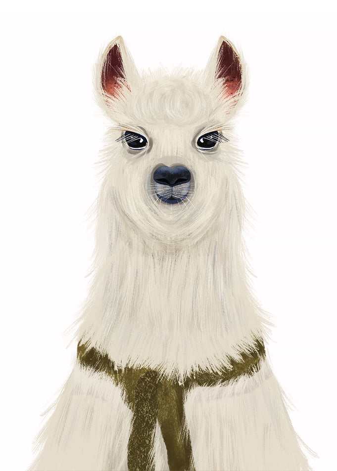 Llama llama