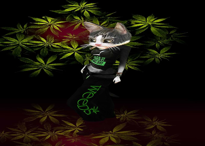 Purrrfect