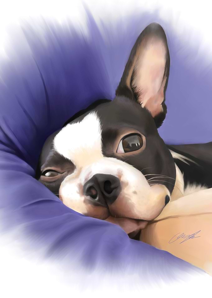 Nap Time