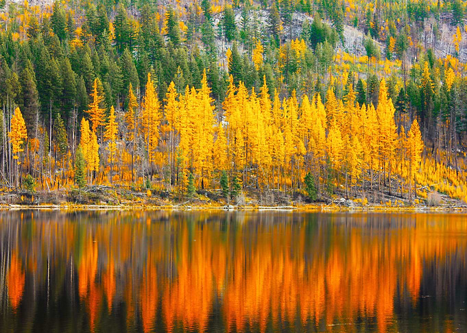 Chute lake BC