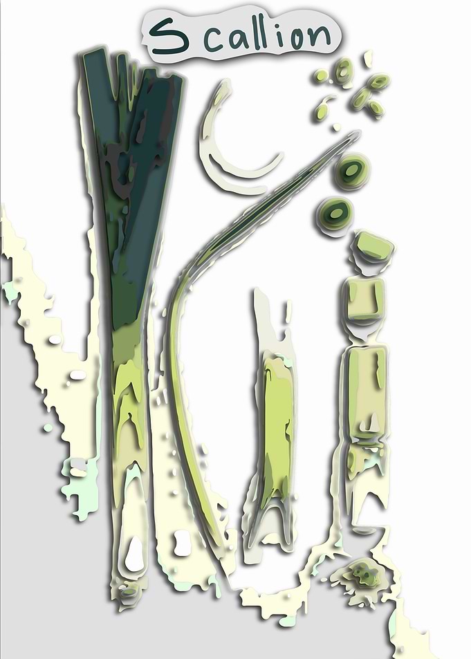 vegetables scallion