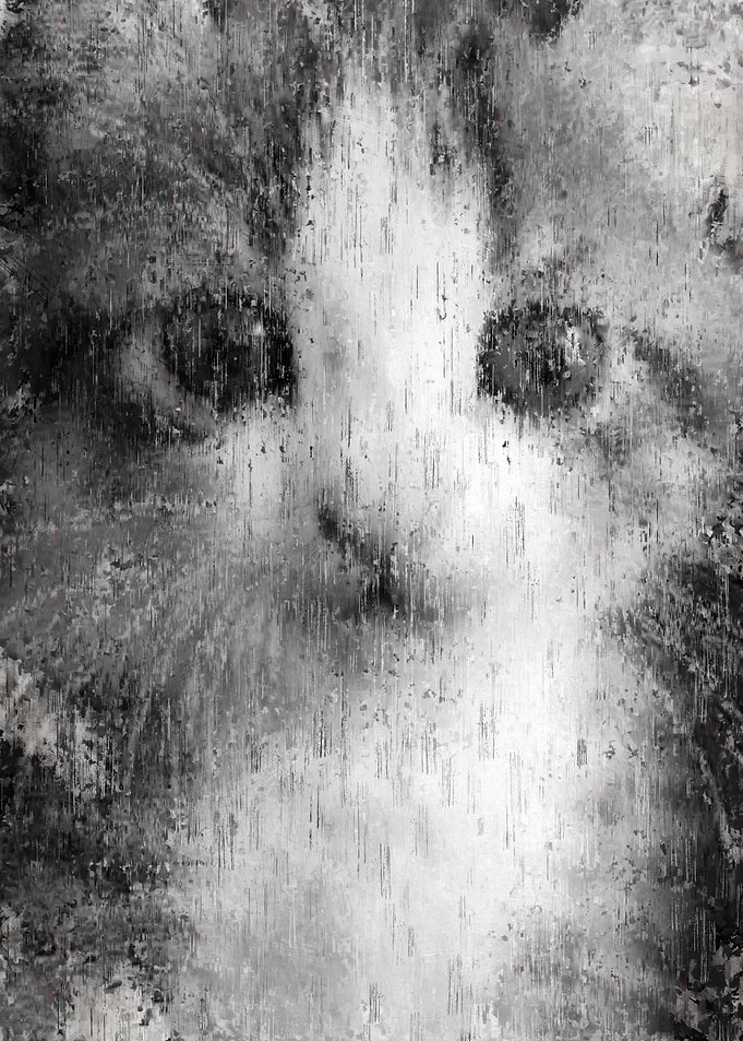 Kitty Cat