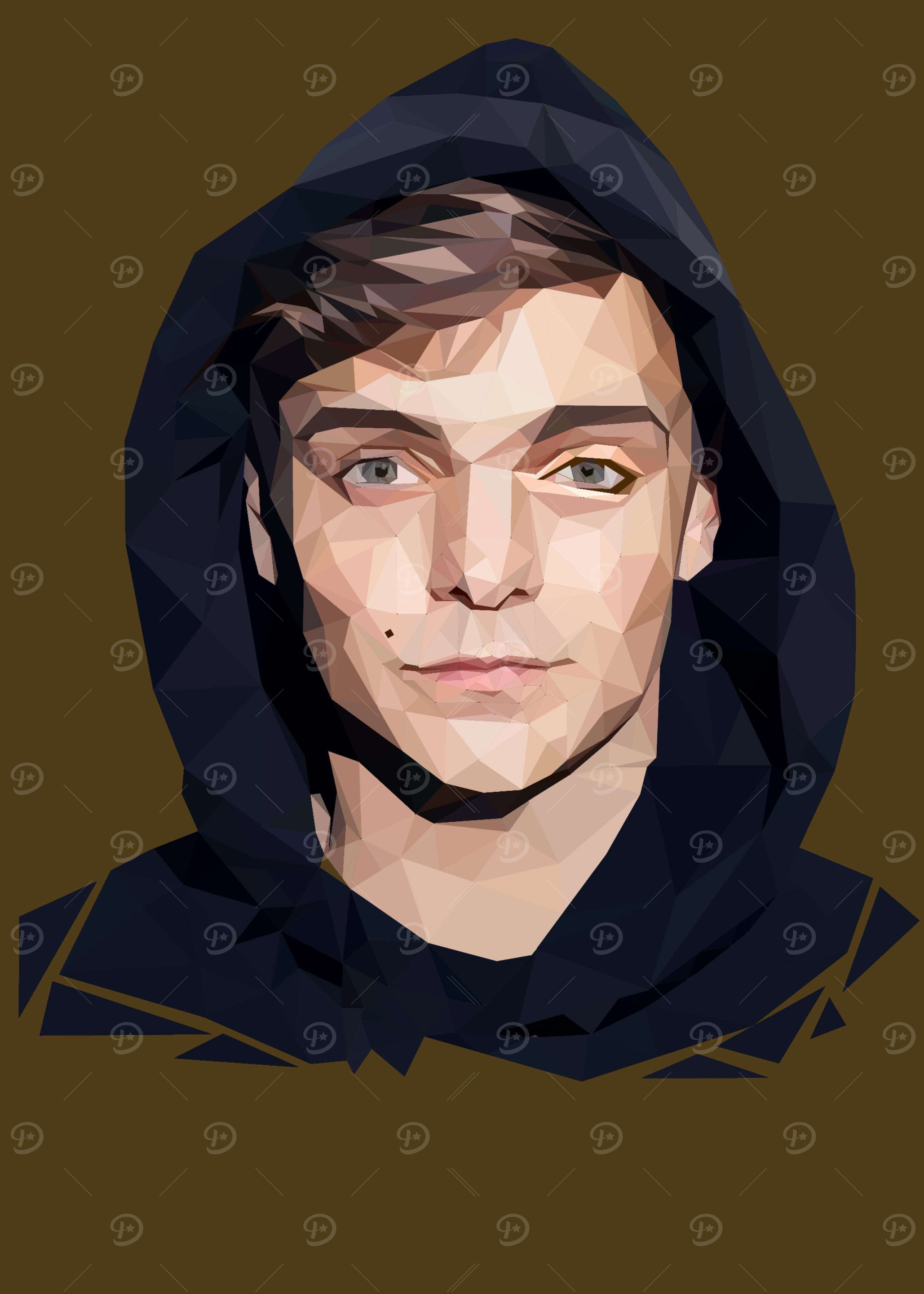 Low poly art Martin garrix