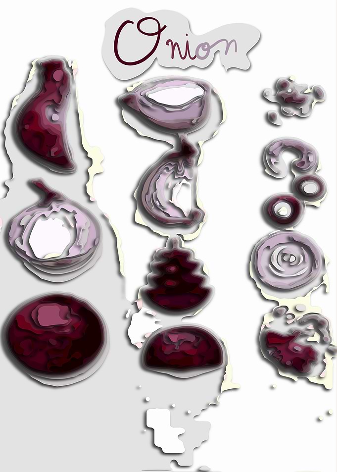 vegetables onion