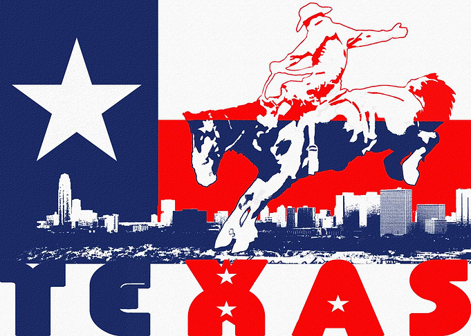 Texas Flag