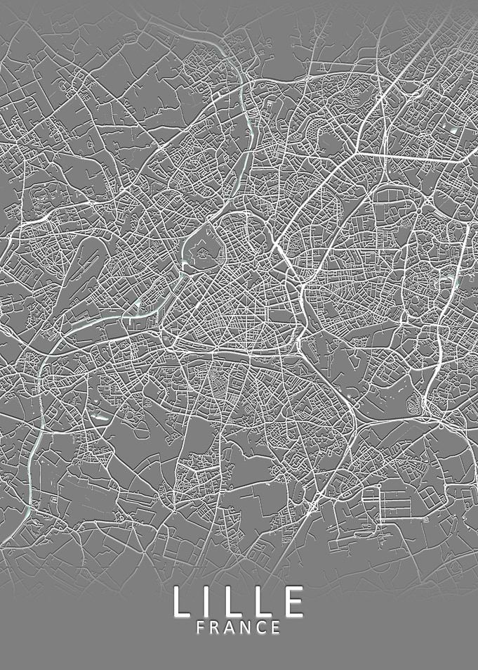 Lille Grey City Map