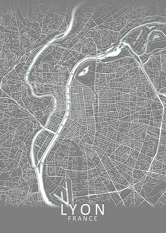 Lyon Grey City Map