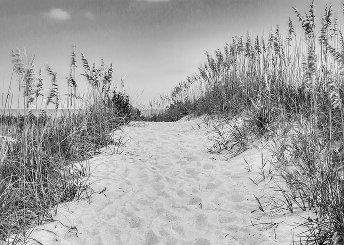 Sandy Beaches