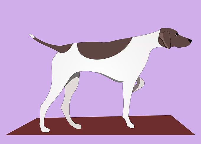 Pointer Pose