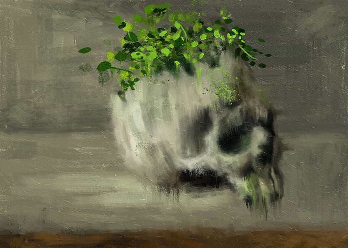 Skull Pot