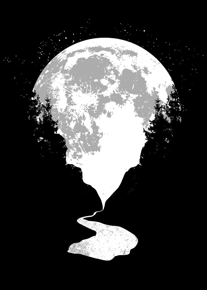 Moon Lake Trees